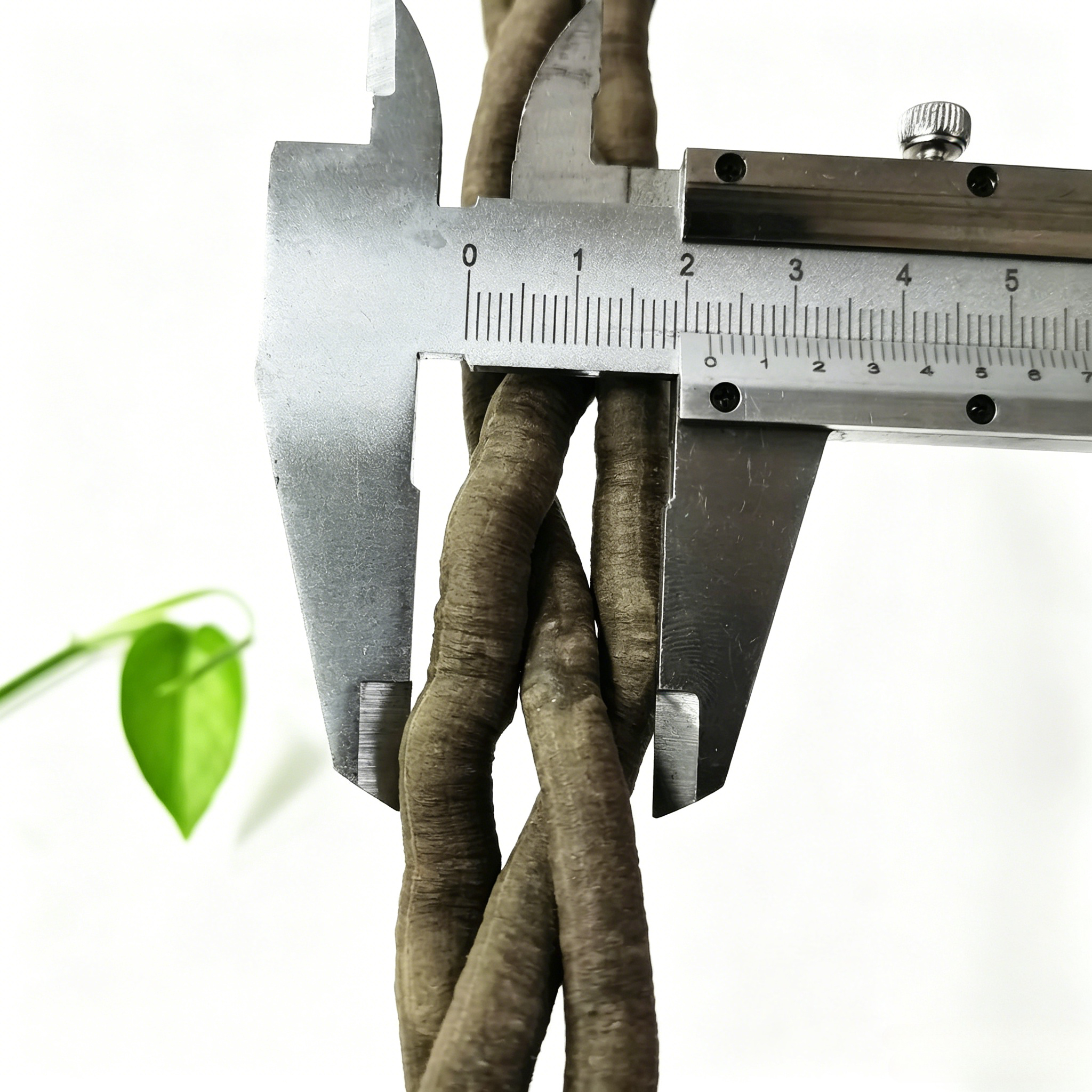 100cm Artificial Vine Plant Cl - مراجعة Aquarium Planted Tank وسعره