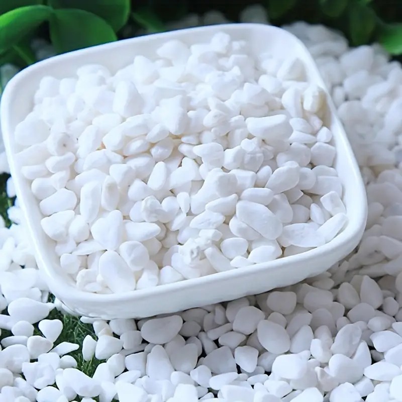 500g/1.1LB Decorative White Pe - مراجعة Planted Aquarium With Rocks وسعره