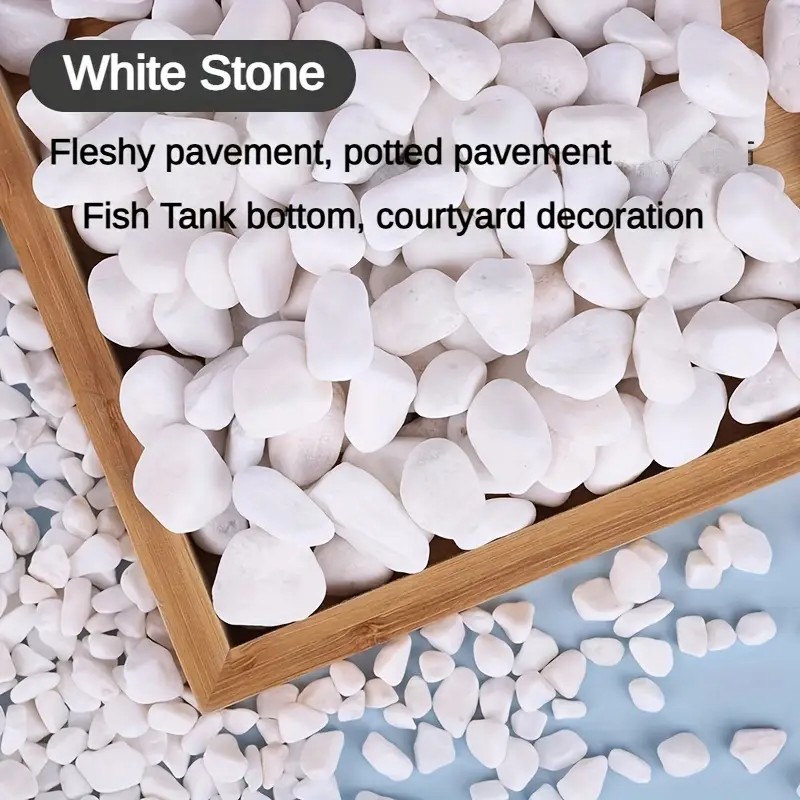 500g/1.1LB Decorative White Pe - مراجعة Planted Aquarium With Rocks وسعره