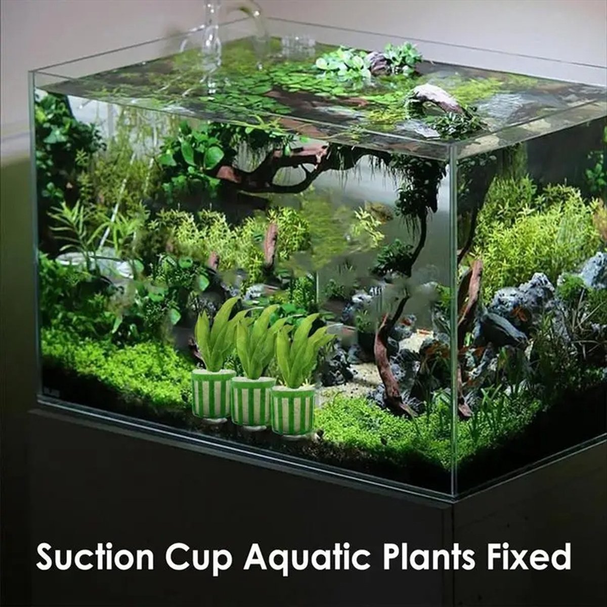 ABNQ Aquatic Plant Fixed Holde - مراجعة Planted Aquarium Tool Kit وسعره