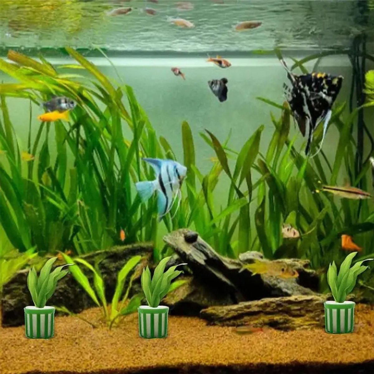 ABNQ Aquatic Plant Fixed Holde - مراجعة Planted Aquarium Tool Kit وسعره