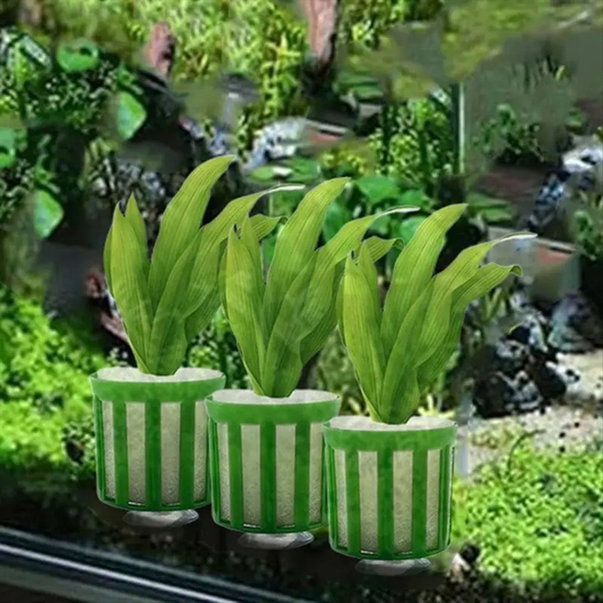 ABNQ Aquatic Plant Fixed Holde - مراجعة Planted Aquarium Tool Kit وسعره