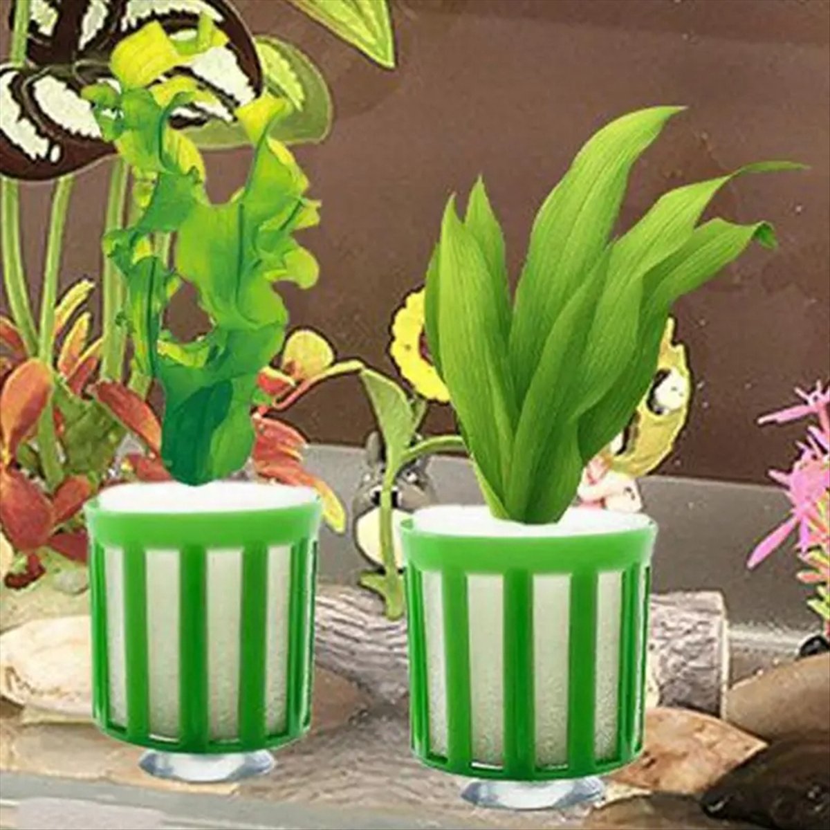 ABNQ Aquatic Plant Fixed Holde - مراجعة Planted Aquarium Tool Kit وسعره