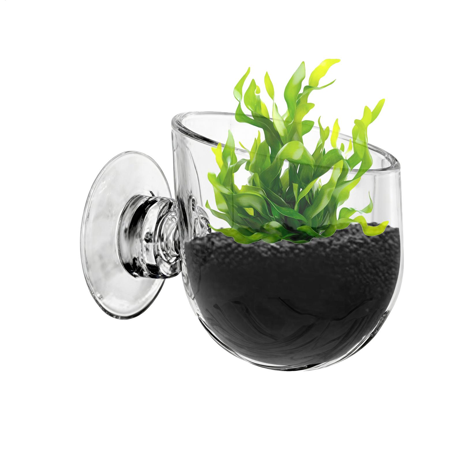 Aquarium Plant Holder Acrylic  - مراجعة Aquarium Planted Background وسعره