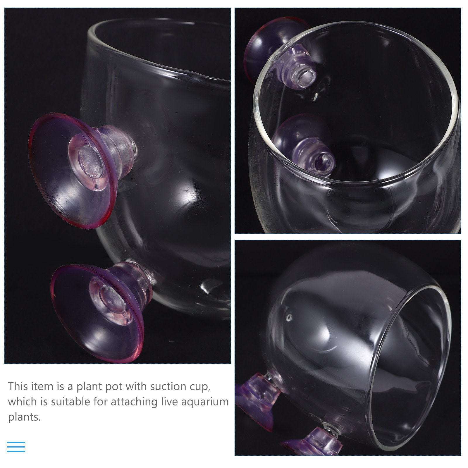 Mini Aquatic Plant Pot Transpa - مراجعة Planted Aquarium Bowl وسعره