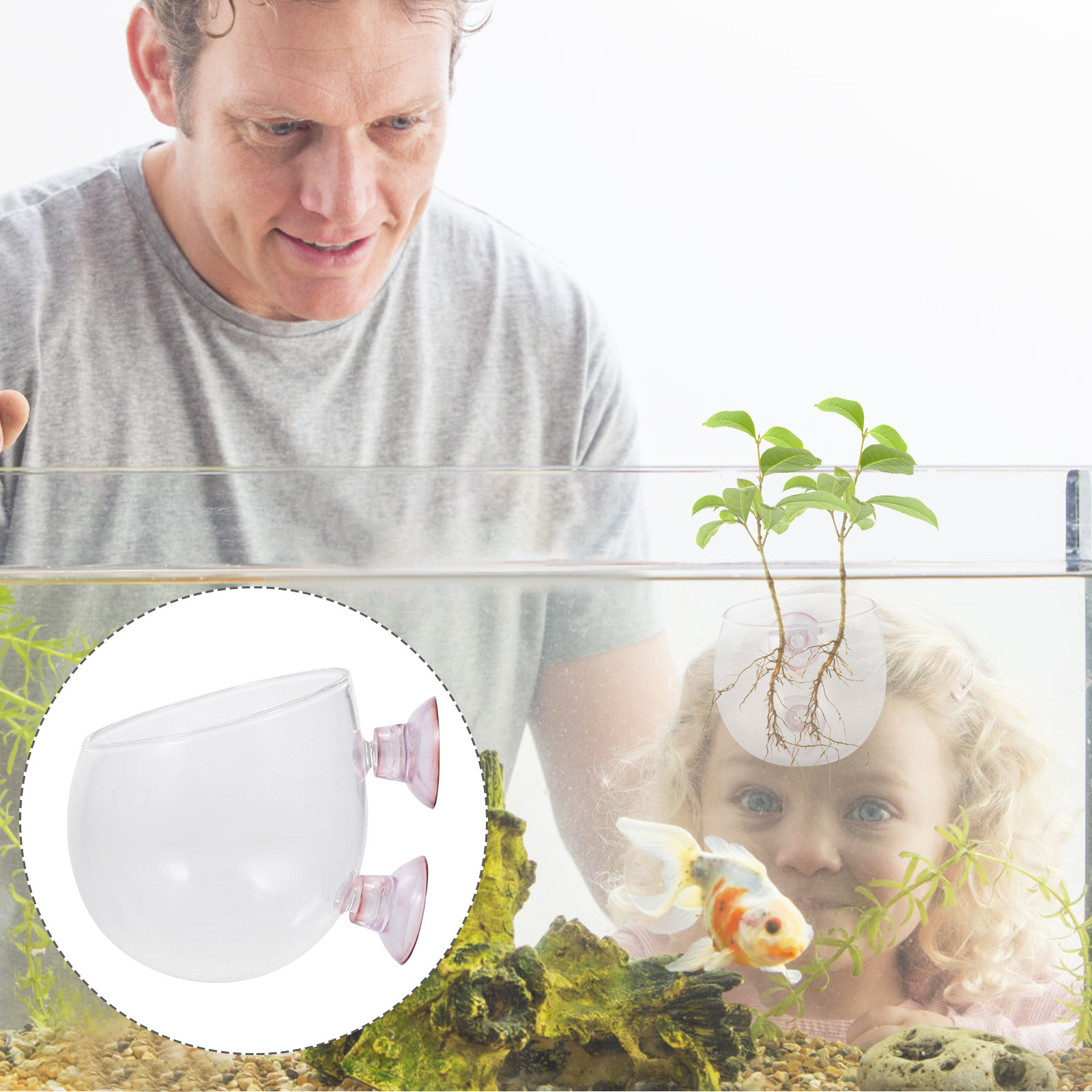 Mini Aquatic Plant Pot Transpa - مراجعة Planted Aquarium Bowl وسعره