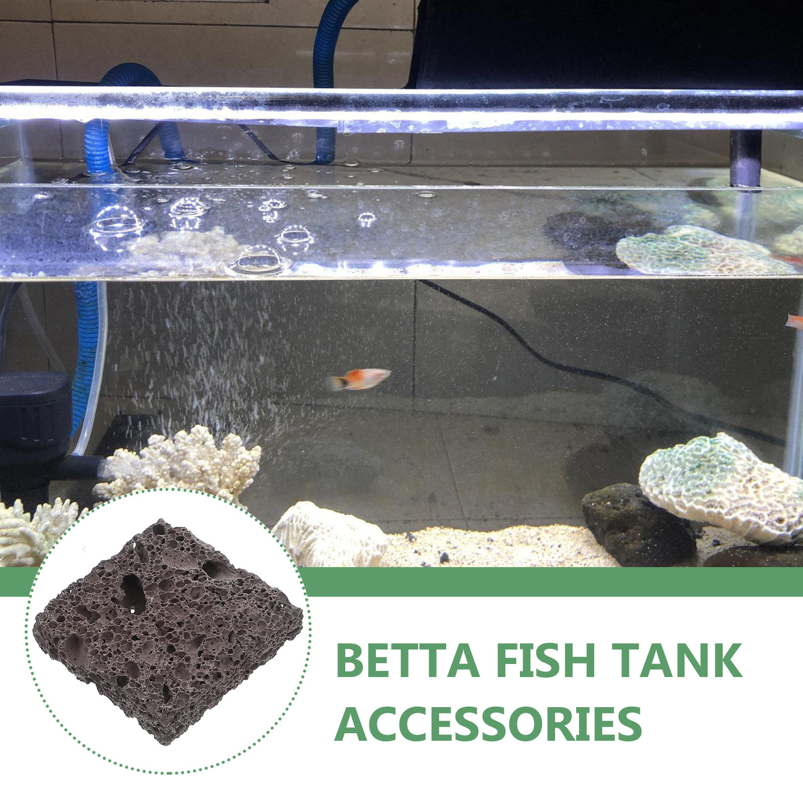 3Pcs Natural Aquarium Rocks Vo - مراجعة Planted Aquarium With Rocks وسعره