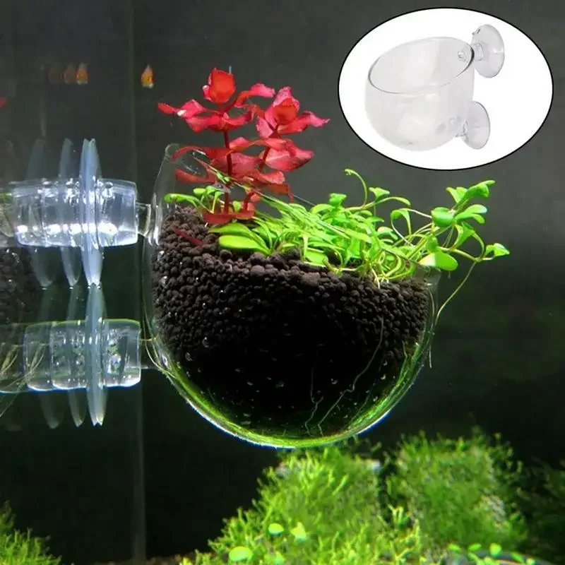 Aquarium Decoration Plant Cup  - مراجعة Aquarium Planted Background وسعره