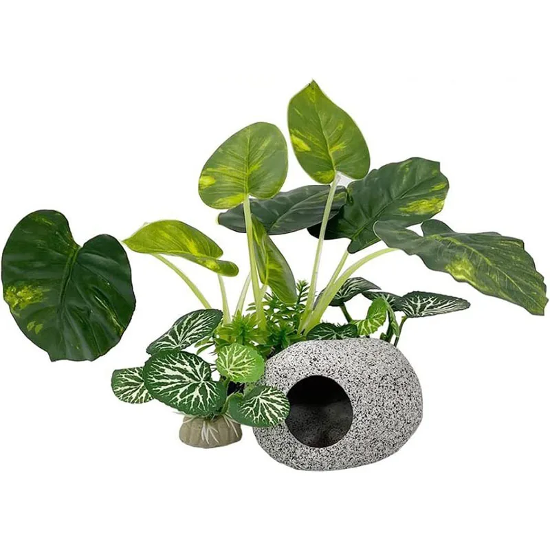 Small Underwater Grass Aquariu - مراجعة Aquarium Planted Background وسعره