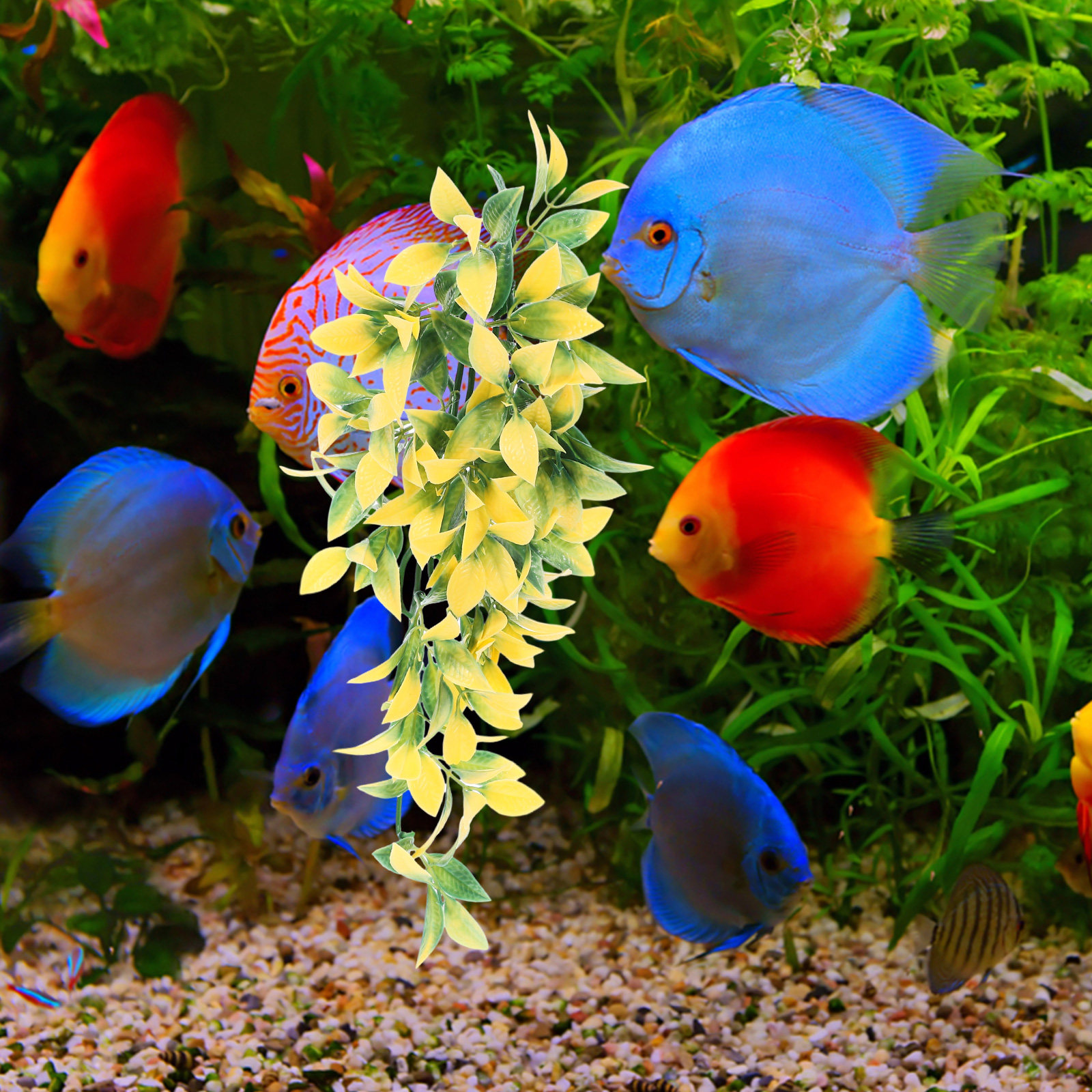 Simulated Vines Decor Artifici - مراجعة Aquarium Plant Vine وسعره