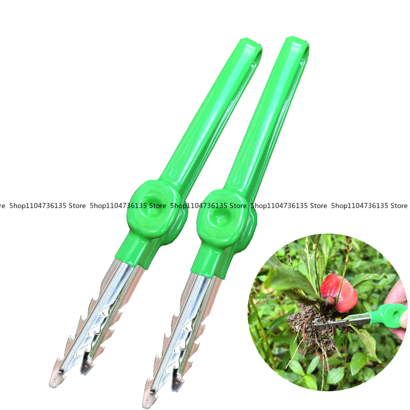 Gardening Tools, Tweezers, Sta - مراجعة Planted Clip Tweezers وسعره