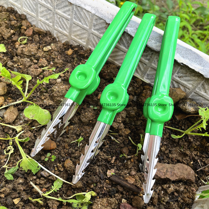 Gardening Tools, Tweezers, Sta - مراجعة Planted Clip Tweezers وسعره