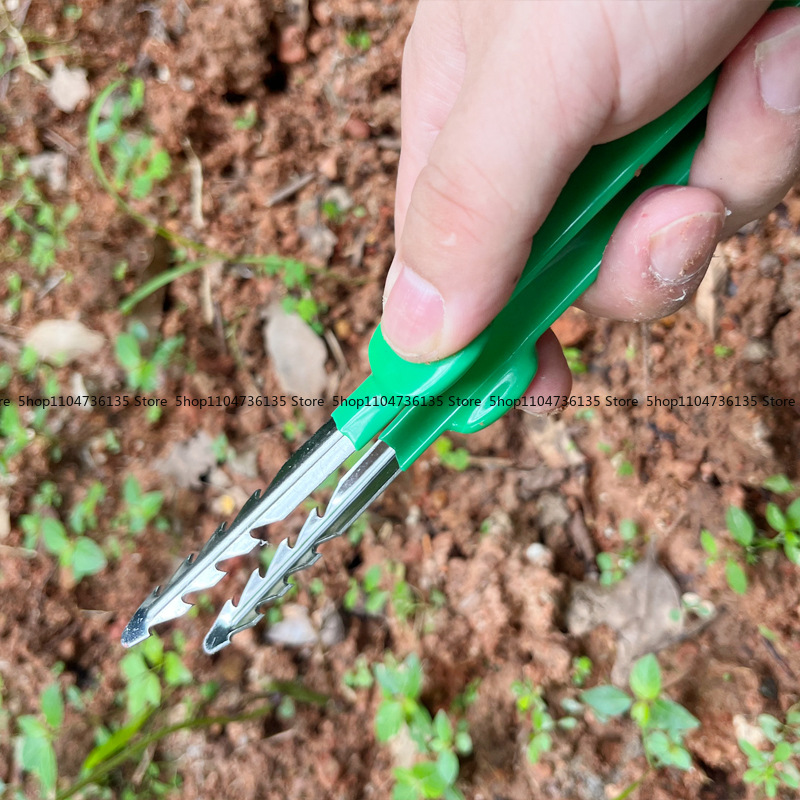 Gardening Tools, Tweezers, Sta - مراجعة Planted Clip Tweezers وسعره